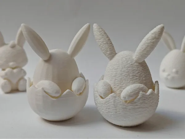 https://makerworld.bblmw.com/makerworld/model/DSM00000001244204/design/2025-03-24_ab5de471406d6.jpg