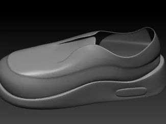 wearable shoe