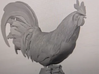 gallo con tenis