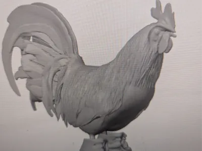 Rooster with sneakers