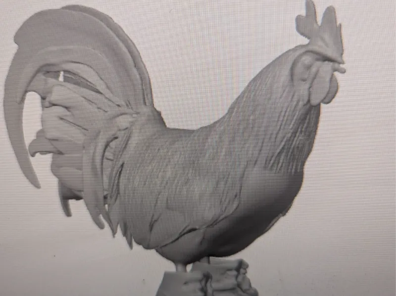 gallo con tenis