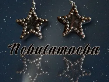 2 types of star earrings