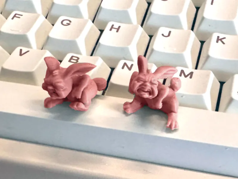 Mini Rabbits