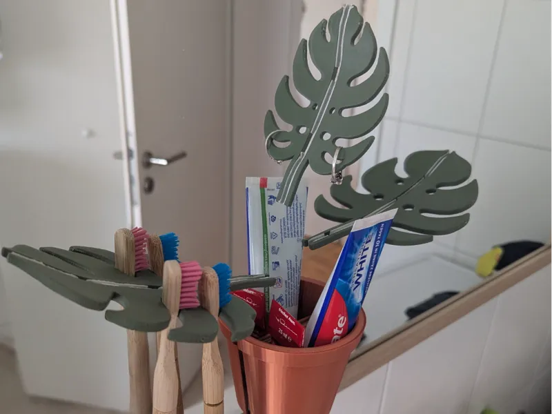 Mirror Monstera