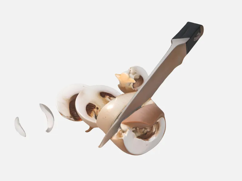 Mushroom with knife stuck in it