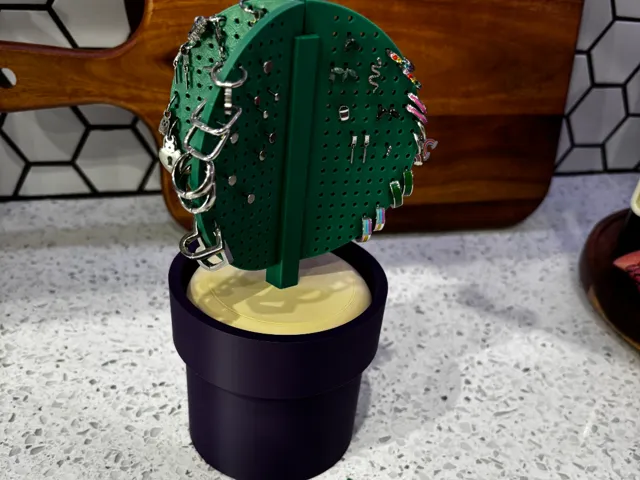 Cactus Earring Holder and Storage