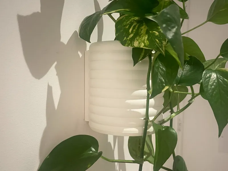 Wall Mounted Planter