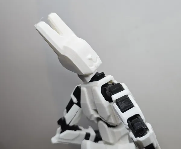 https://makerworld.bblmw.com/makerworld/model/DSM00000001255755/design/2025-03-28_mmagx0r0429q.jpg