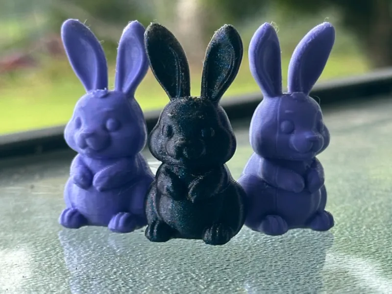Cute Bunny