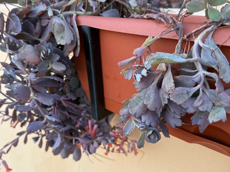 soporte para jardinera de 16cm