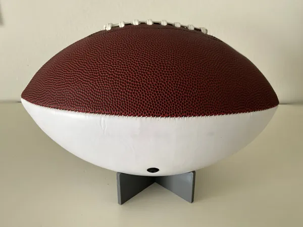 https://makerworld.bblmw.com/makerworld/model/DSM00000001259291/design/2025-03-28_a3040475a9751.png