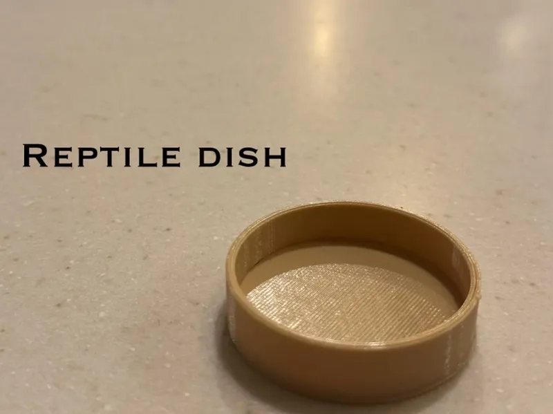 Basic reptile dish