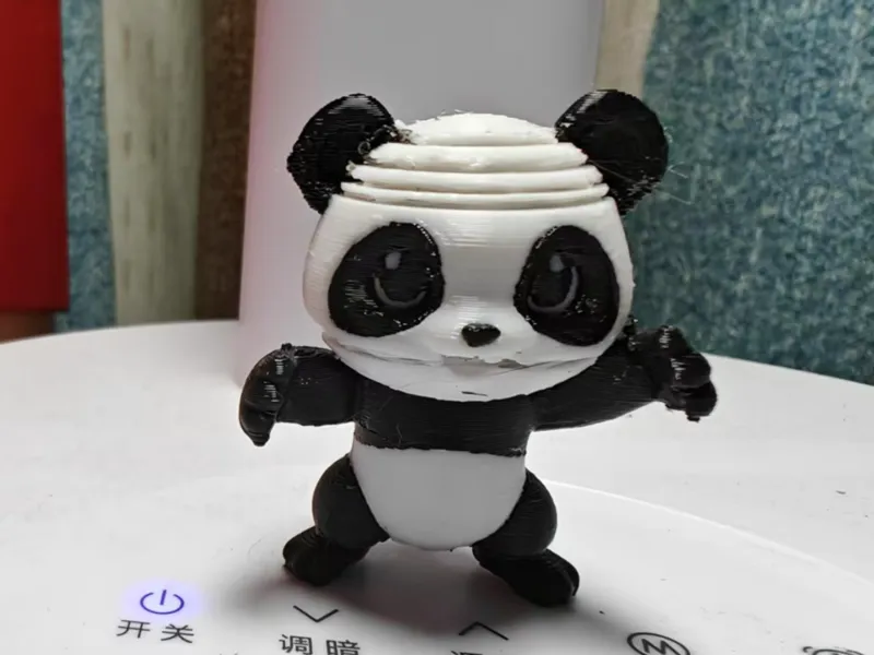 蹒跚学步的小熊猫