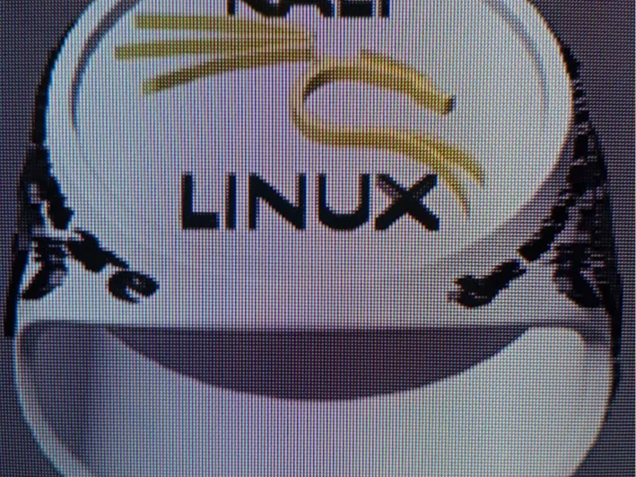 ANILLO DE KALI LINUX