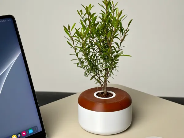 https://makerworld.bblmw.com/makerworld/model/DSM00000001265756/design/2025-03-30_5d69af57cb157.jpeg