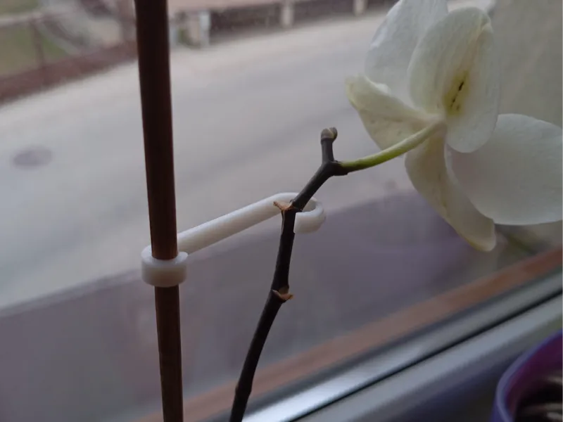 Flower Clip Support