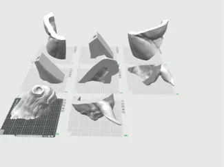 Multipart Horse Head (Life sized)