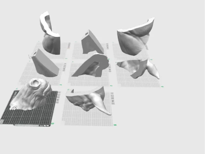 Multipart Horse Head (Life sized)
