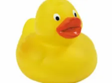 Baby Duck