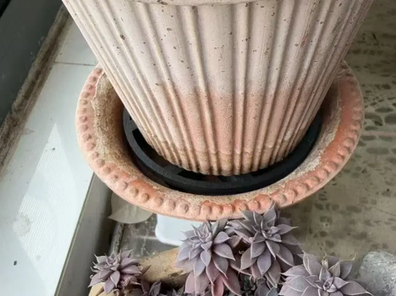 花盆底座,防烂根
