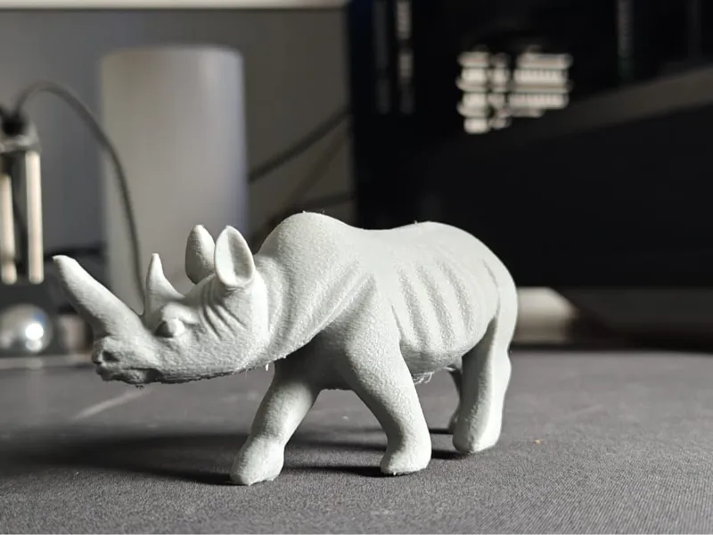 Kenyan White Rhino