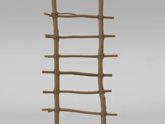 宠物爬梯 鹦鹉爬梯