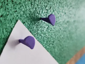 Punaise pour tableau en liège ou carton
