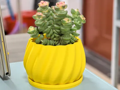 Small Succulent Pot for Office Desk (with holes and tray)