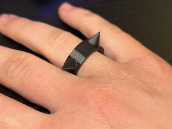 https://makerworld.bblmw.com/makerworld/model/DSM00000001276032/design/2025-04-02_30381fc026f2c.jpg