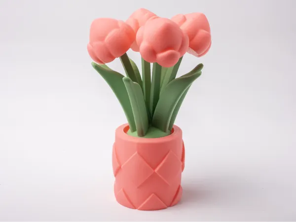 https://makerworld.bblmw.com/makerworld/model/DSM00000001276432/design/2025-04-02_2b9eadc61e617.jpg