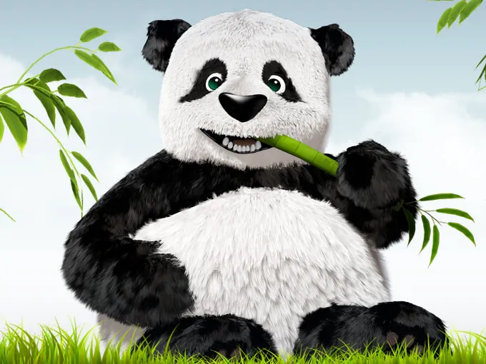 panda