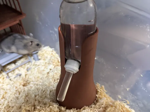 https://makerworld.bblmw.com/makerworld/model/DSM00000001277410/design/2025-04-02_b4eddfc278e0a.jpg