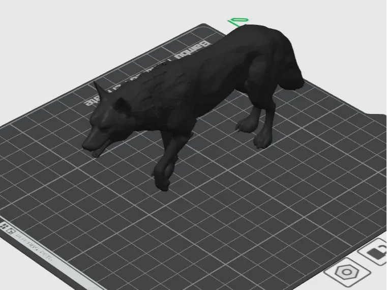 wild wolf