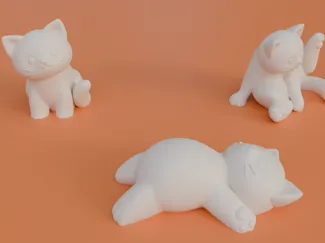 Cute Cat