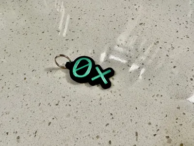 Oxide Computer Company Keychain