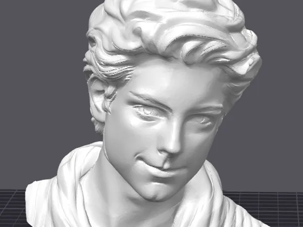 https://makerworld.bblmw.com/makerworld/model/DSM00000001279387/design/2025-04-03_efaef3d7c2e57.jpg