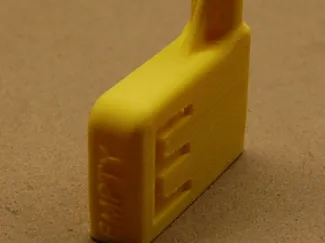 AR15 chamber flag