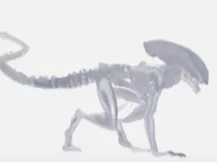 Alien