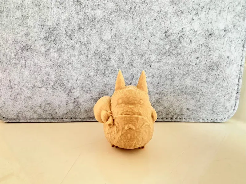 背袋子的龙猫