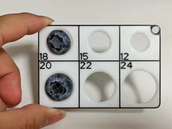 https://makerworld.bblmw.com/makerworld/model/DSM00000001285236/design/2025-04-05_ce99da5a64254.jpg
