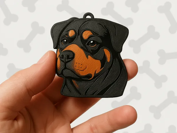 https://makerworld.bblmw.com/makerworld/model/DSM00000001285962/design/2025-04-08_6e387302c113b8.png