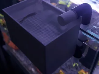 Aquarium Hang-On Breeding Box / Askı Yavruluk