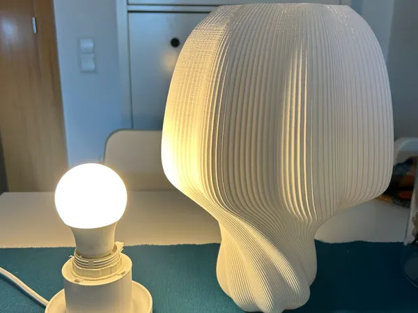 https://makerworld.bblmw.com/makerworld/model/DSM00000001288075/design/2025-04-05_d6a05540a7b93.png