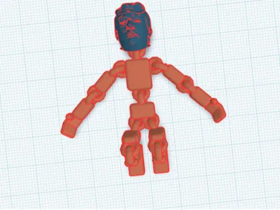 3d File Ragdoll ragdoll 3d print model download - MakerWorld