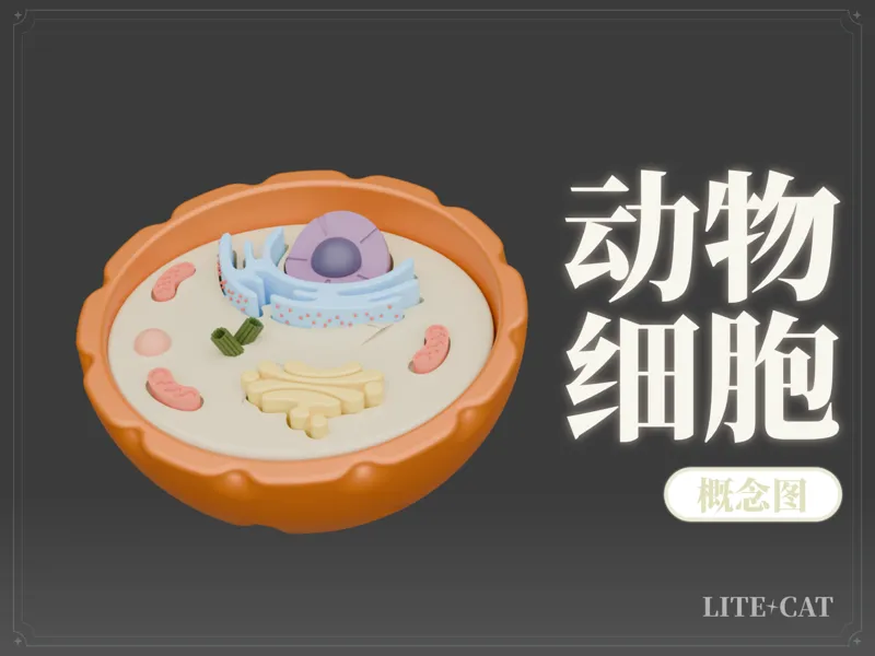 动物细胞的3D模型
