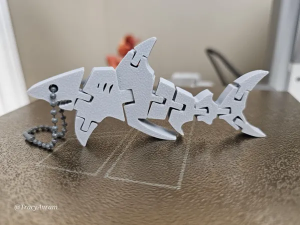 https://makerworld.bblmw.com/makerworld/model/DSM00000001289610/design/2025-04-05_b4d0973caad46.jpg