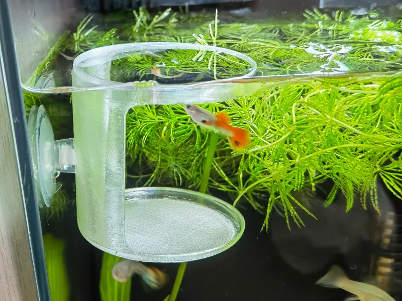 鱼缸喂食器