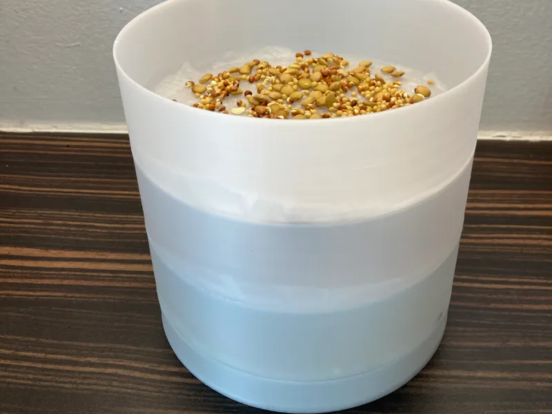 Keimapparat, Keimgerät Sprossen, Sprossenturm