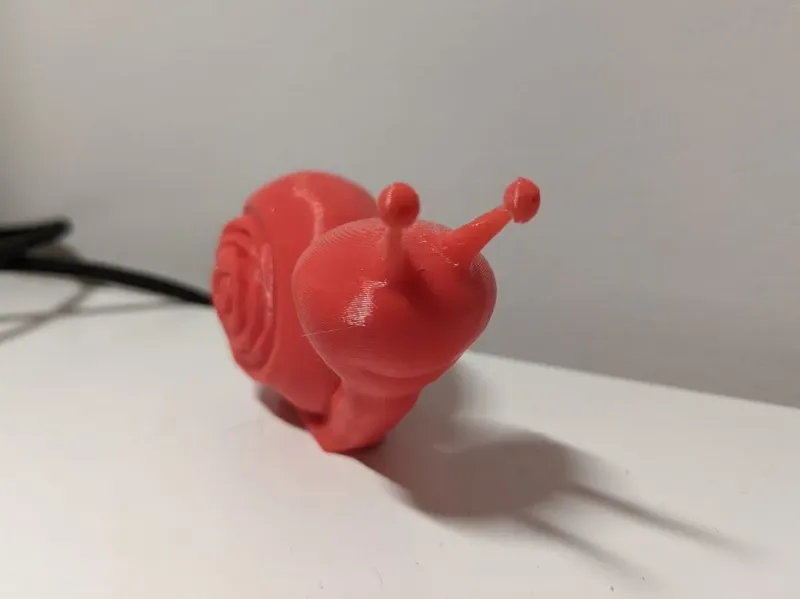 Cute snail called John