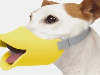 Dog Muzzle - Duck style